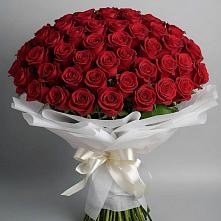Букет 101 Красная роза Блэк Мэджик в Едрово