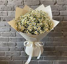 Букет цветов из:  Ромашки в Едрово
