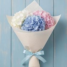 Букет цветов из:  Гортензия в Едрово