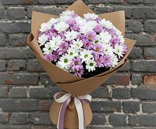 Букет цветов из:  Хризантемы в Едрово