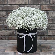 Цветочная композиция из Гипсофила в шляпной коробке в Едрово