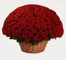 Премиум букет из: Розы в Едрово