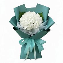 Букет цветов из:  Гортензия в Едрово